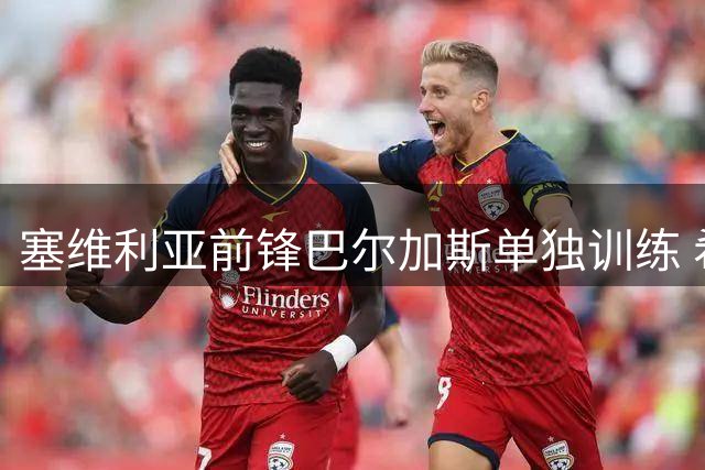 塞维利亚前锋巴尔加斯单独训练 希腊球队领跑转会谈判