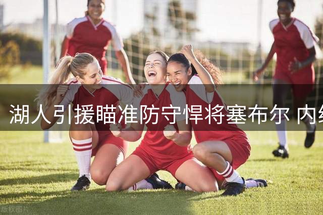 湖人引援瞄准防守悍将塞布尔 内线补强计划同步推进