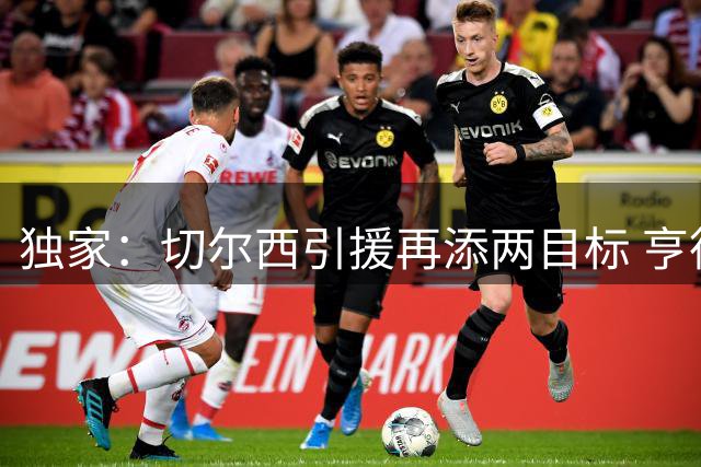 独家：切尔西引援再添两目标 亨德森维尔贝克已达成个人条款